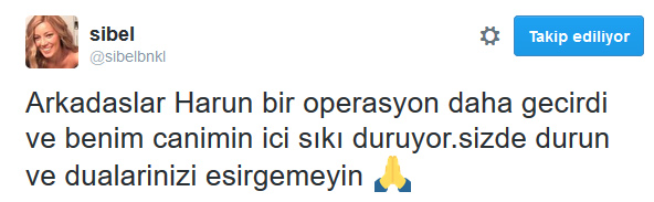 sibel-ic