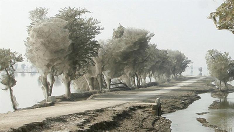 Yer Güneybatı Pakistan, Karachi yakınları...