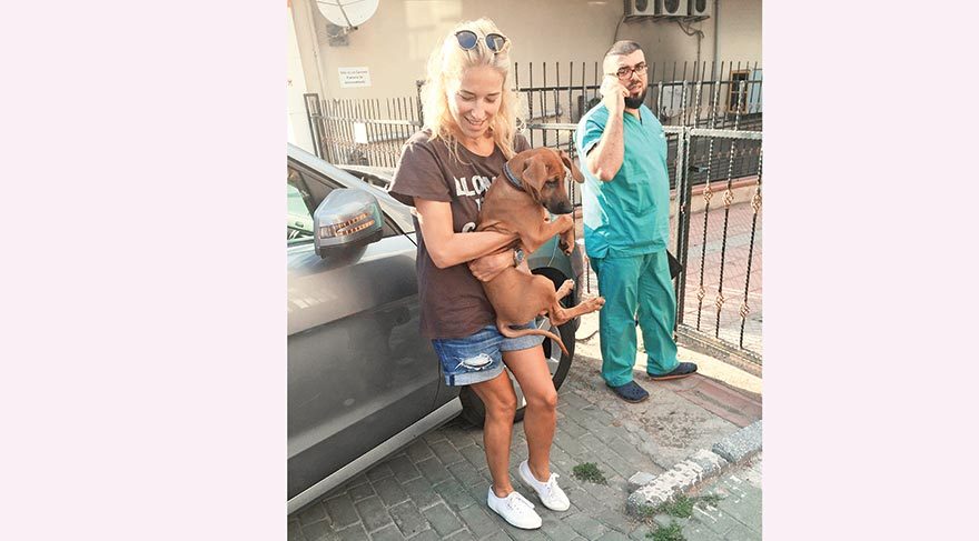 Yufka yürekli Burcu