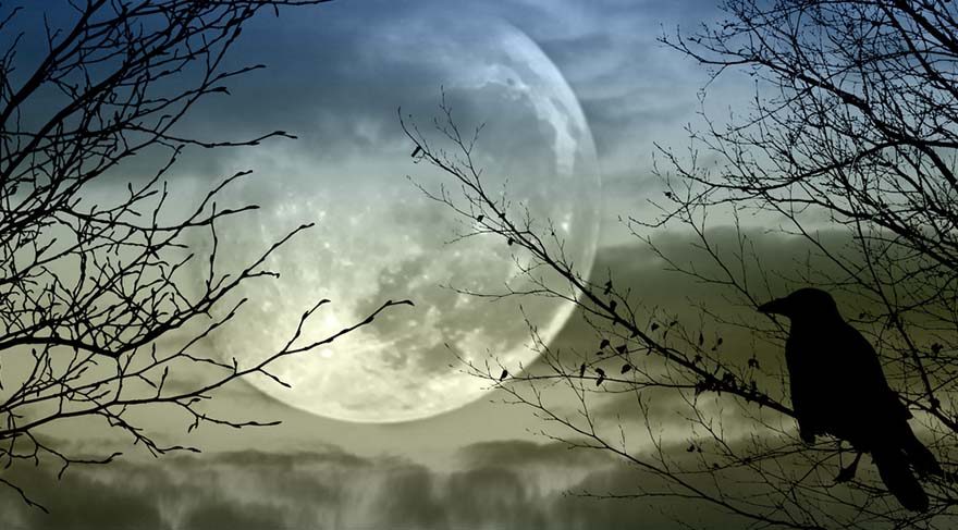 Kova burcu astrolojide; dâhileri, devrimleri, sürgünleri, bilim adamlarını, icatları, objektif olmayı, hümanizmi, insan haklarını, bağımsızlığı, aykırı olan her şeyi, toplum için olan her türlü konuyu, yüksek teknolojiyi, dernekleri, örgütleri, sivil toplum kuruluşlarını, ufoları, uzayla ilgili her türlü konuyu, astrolojiyi, dostlukları, arkadaşlıkları, havacılık sektörünü, yüksek zekayı, grevleri, yapay zekayı, bilimsel gelişmeleri, internet dünyasını, sağlık olarak ise dolaşım sistemini, kalp ve tansiyon sorunlarını sembolize eder.