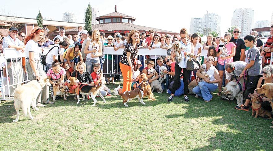Patilere özel festival