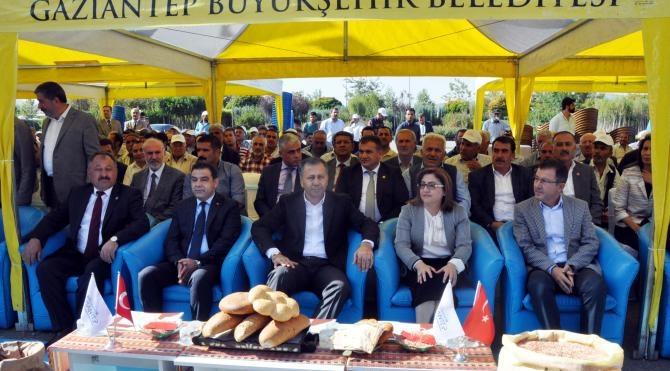 Gaziantep'te belediyeden çiftçilere tohum desteği
