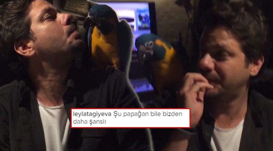Alp Korkmaz papağanına çekirdek yedirdi
