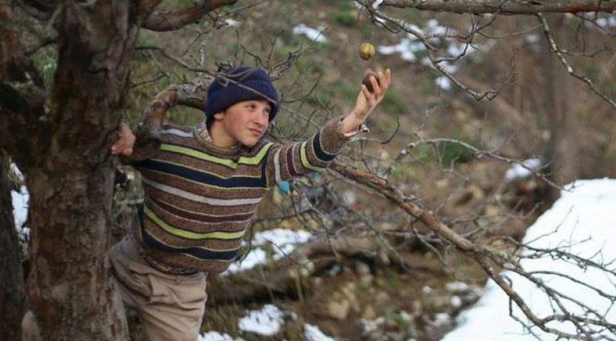 Kalandar Soğuğu’na iki ödül