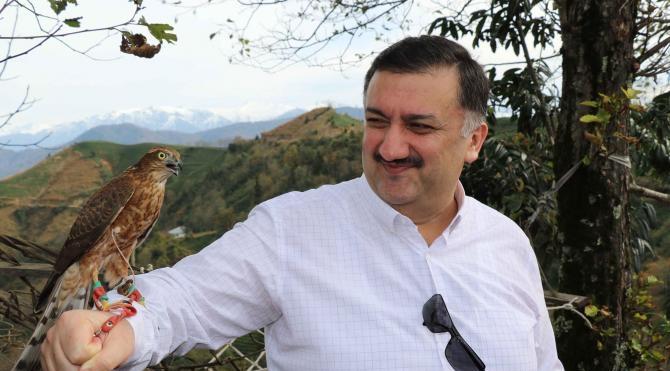 Atmacalar doğal yaşama bırakıldı