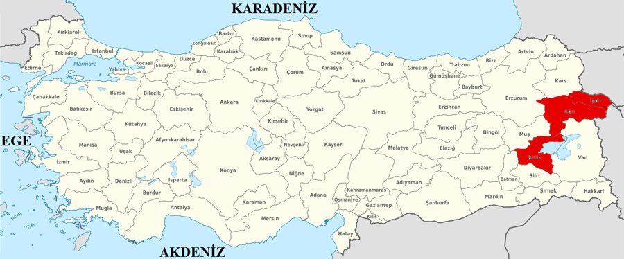 2014 yerel seçimlerinde 11 il belediyesinde DBP/HDP'li adaylar seçimi kazanmıştı.