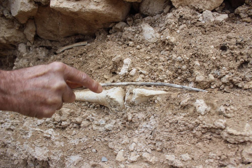 adiyaman-turbeler-1000-2