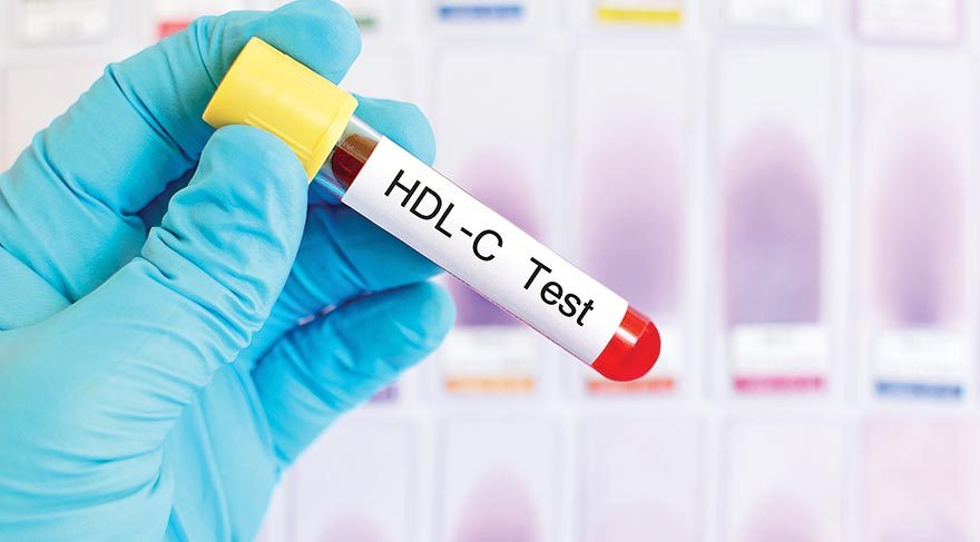 Kolesterol halk ilaçları düşürmek için nasıl Detayları Kolesterol halk ilaçları düşürmek için nasıl Detayları