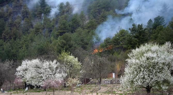 Karabük'te 3 dönümlük kızılçam ormanı yandı