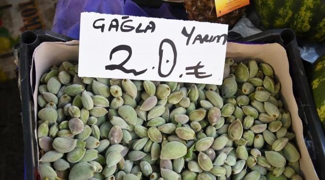 Seyirlik gıdalar
