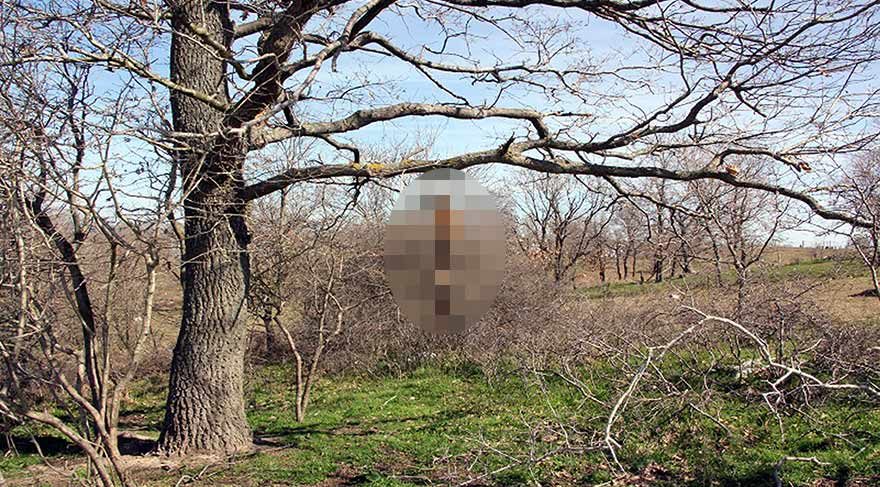 Öldürdükleri tilkiyi ağaca astılar