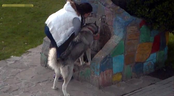 Köpeğine avucunda su içirdi