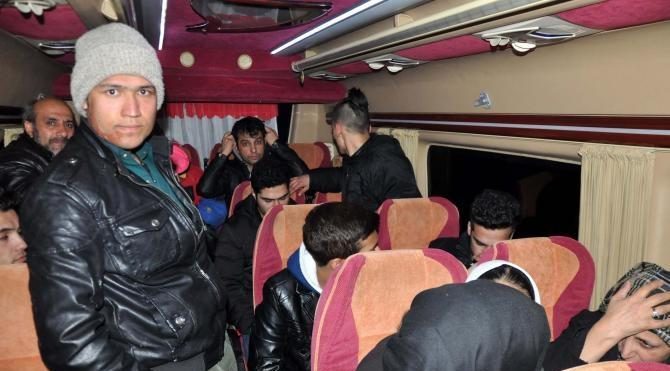 Ayvacık'ta ormanda 44 mülteci yakalandı