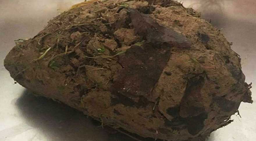 Hareket halindeki toprak parçasını görenler içerisinden çıkana inanamadı!