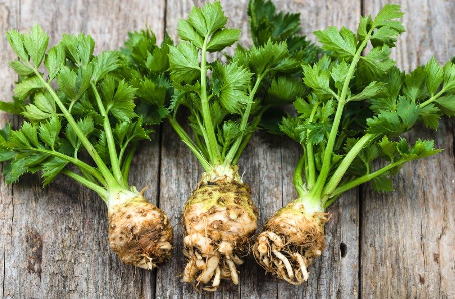 Kereviz: <br />Kerevizde B vitamini, demir ve kireç vardır. Kereviz unutkanlığı ve sinir yorgunluğunu giderir, idrar söker, böbrek taş ve kumlarının düşürülmesine yardım eder, kan ve süt yapar, karaciğeri temizler. Şeker, yüksek tansiyon ve romatizma da da faydalıdır.