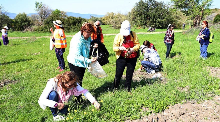 7. Urla Ot Festivali geçtiğimiz hafta sonu gerçekleştirildi