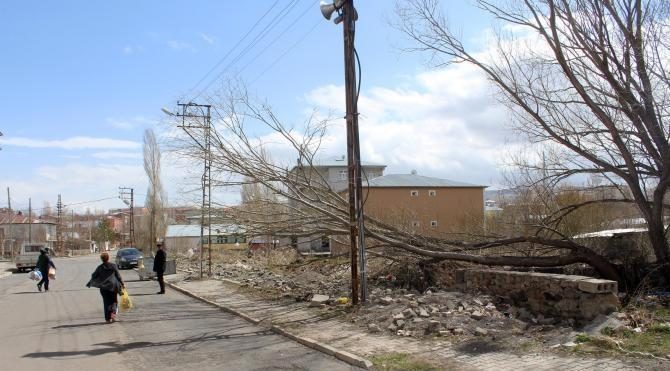 Ardahan'da fırtına çatıları uçurdu, ağaçları yıktı