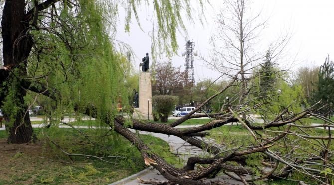 Erzincan'da şiddeti rüzgarda çatılar uçtu, ağaçlar devrildi