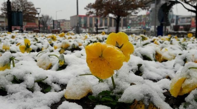 Erzincanlılar'a Nisan'da kar sürprizi