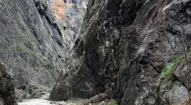 Munzur Dağları'nda PKK operasyonu