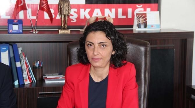 CHP'li Kayışoğlu: Demokrasiyi güçlendirerek daha güçlü bir ülke olabiliriz