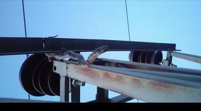 Akıma kapılan yılan 12 köyü 15 saat elektirksiz bıraktı