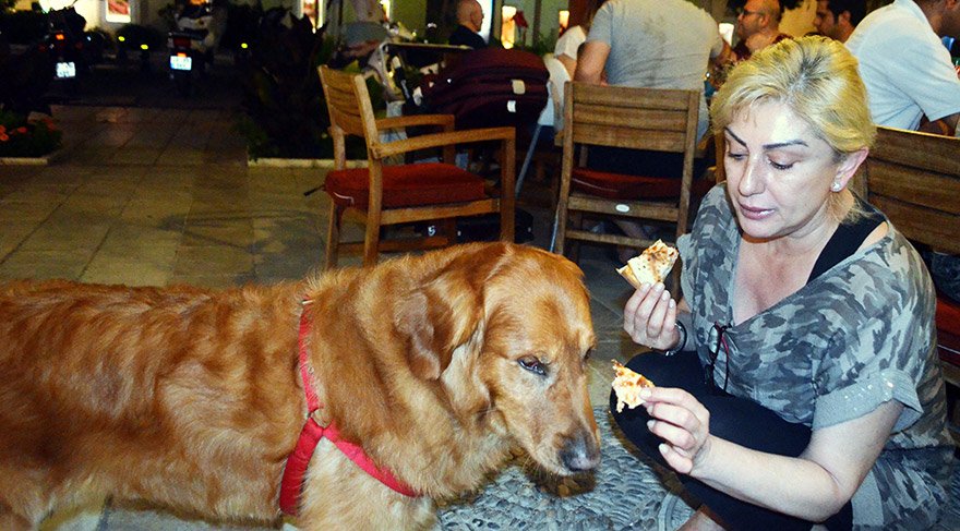 Muazzez Ersoy köpeğine pizza yedirdi - Magazin haberleri