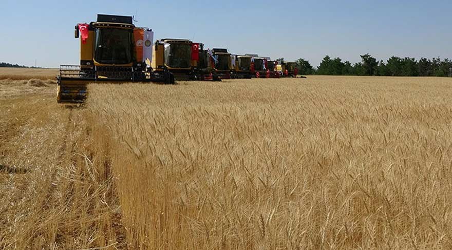 Bakan Çelik, buğday fiyatının ton başına 940 lira olarak açıkladı