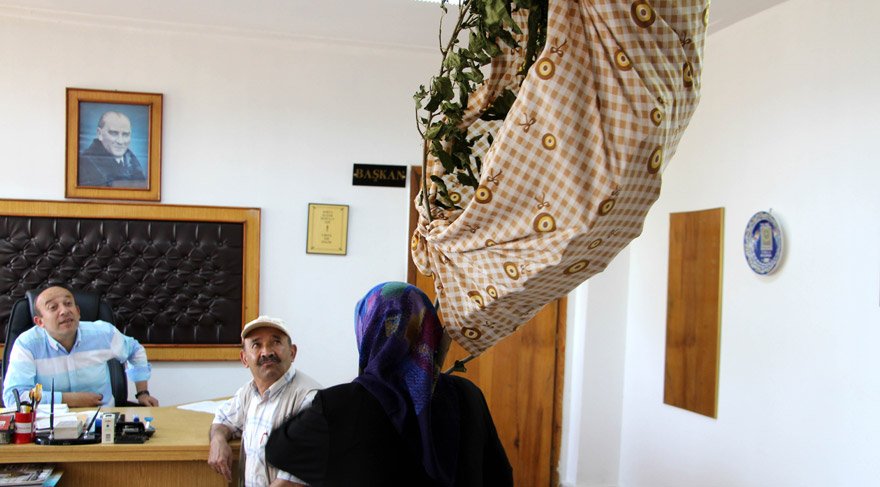 Kesilen ağacını omuzladı, ‘Neden kestiniz’ diye belediyeye hesap sordu