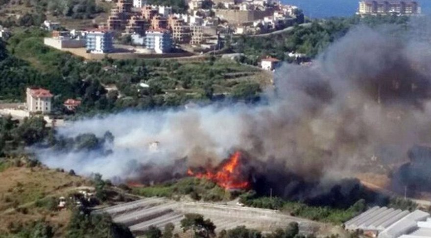 Alanya’da yine yangın çıktı!