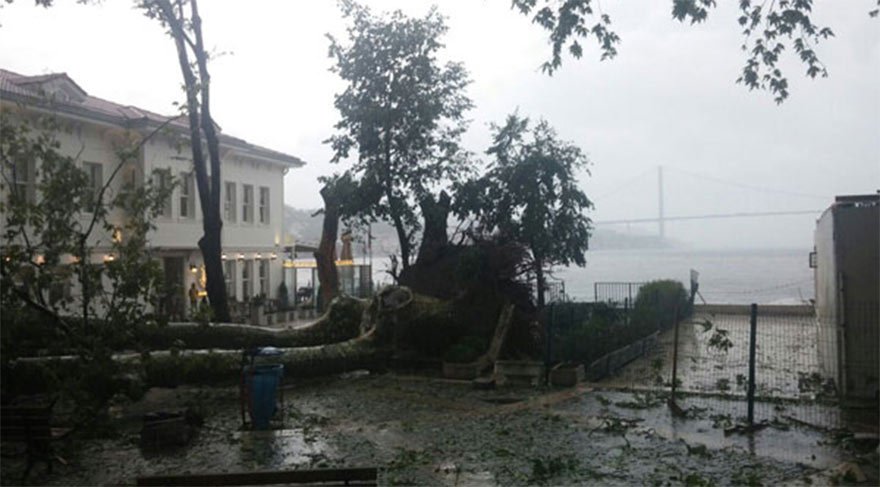 Çınaraltı Meydanı’nın çınarlarından birisi de afet mağduru
