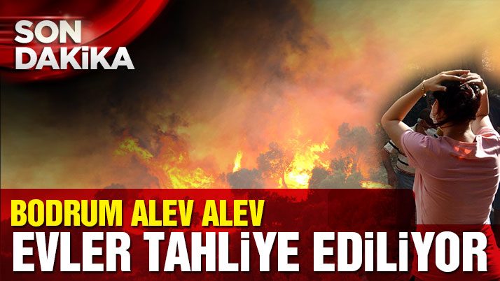 Bodrum’da sit alanında yangın çıktı