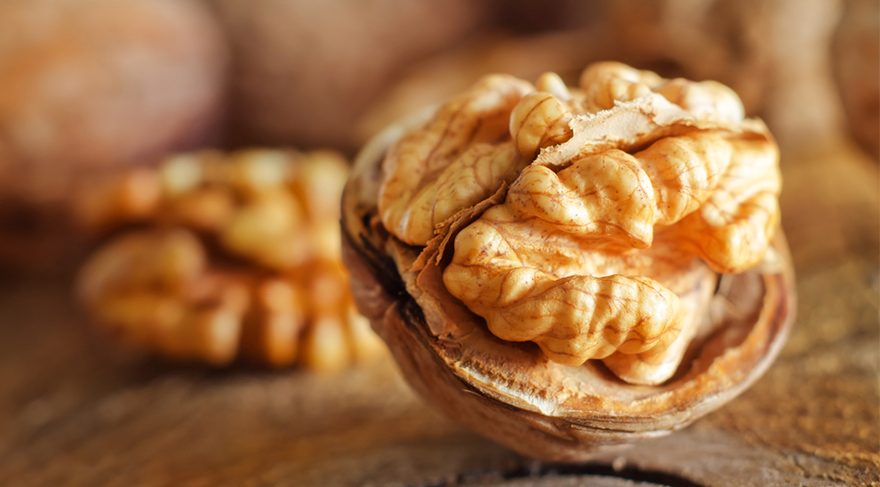 Uzun ömürlü mobilyaların ham maddesi: Ceviz ağacı