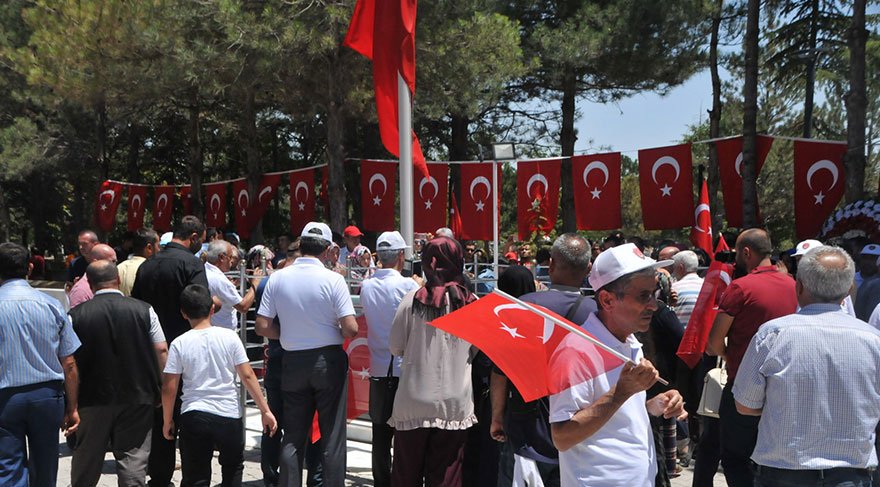 halisdemir8803