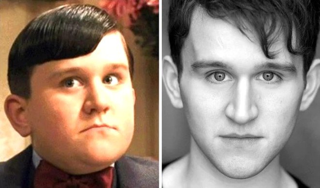 Harry Melling / Dudley Dursley