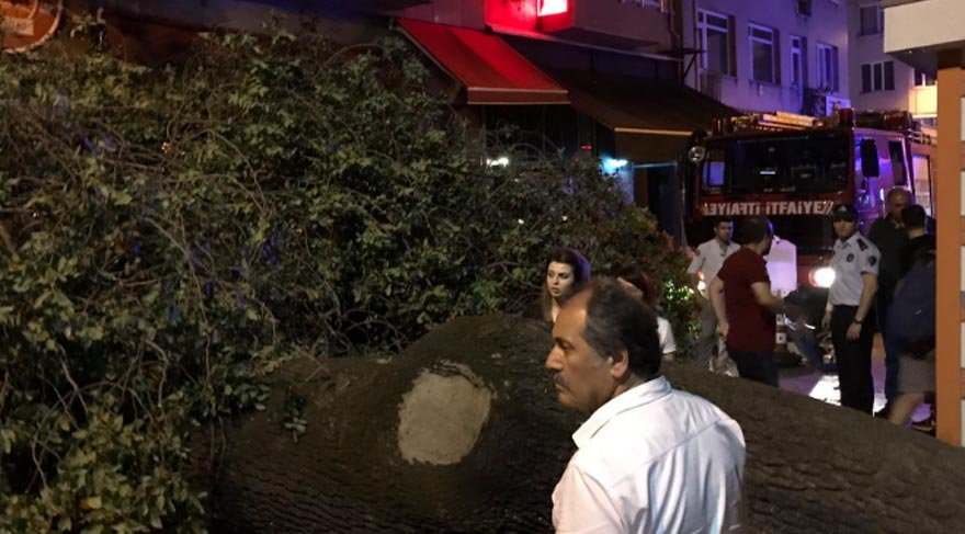 Kadıköy’de asırlık ağaç kafenin üzerine devrildi: 2 yaralı