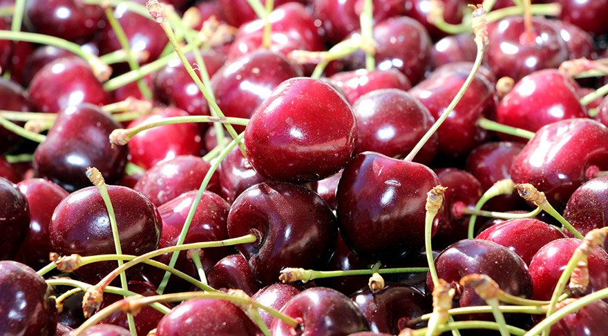 Üreticinin yüzü 15 yıl sonra güldü