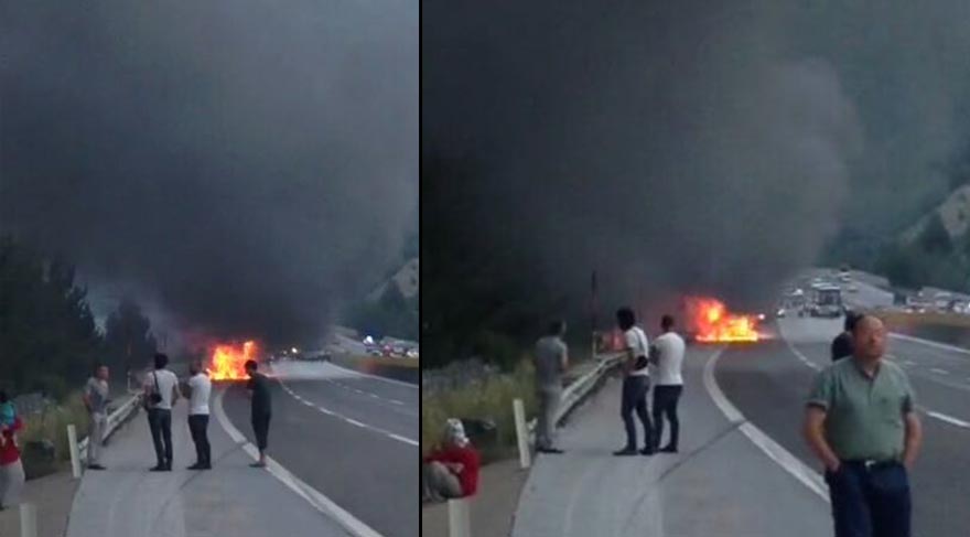 Mersin’de ağaç katliamı kamerada