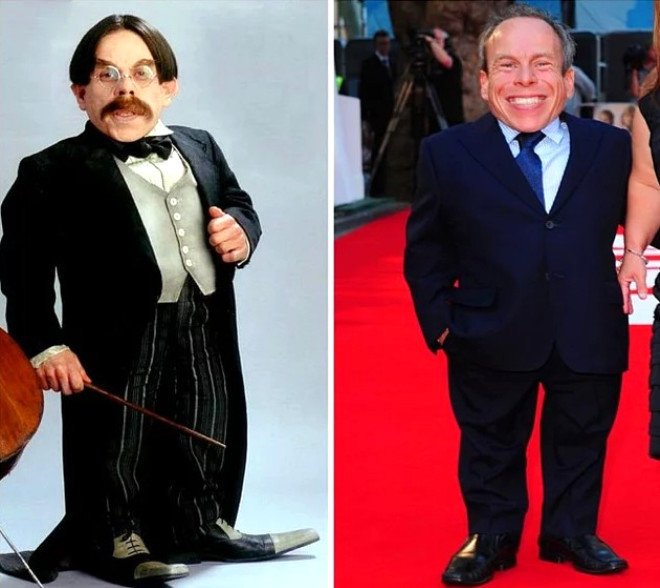 Warwick Davis / Professor Flitwick