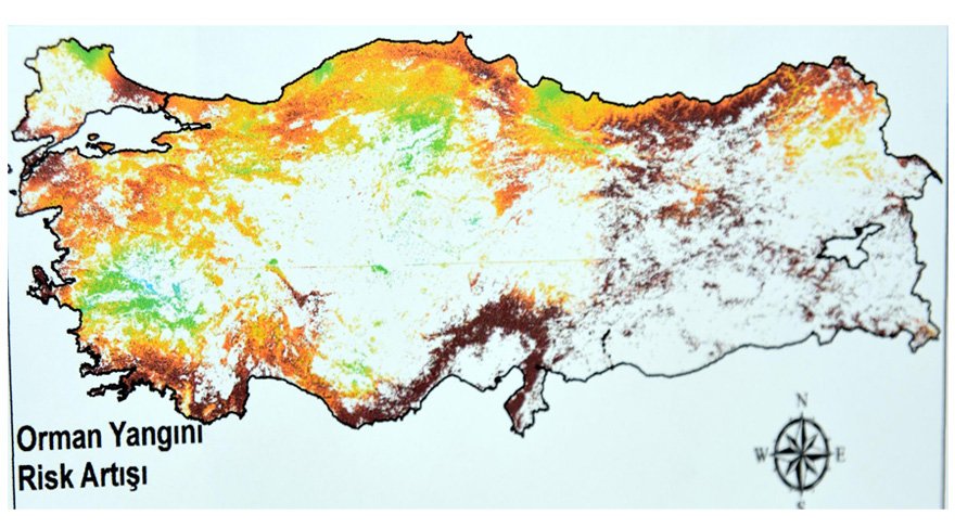 Turkiye Yi Orman Yanginlari Konusunda Gelecekte Bekleyen Tehlike Son Dakika Haberleri