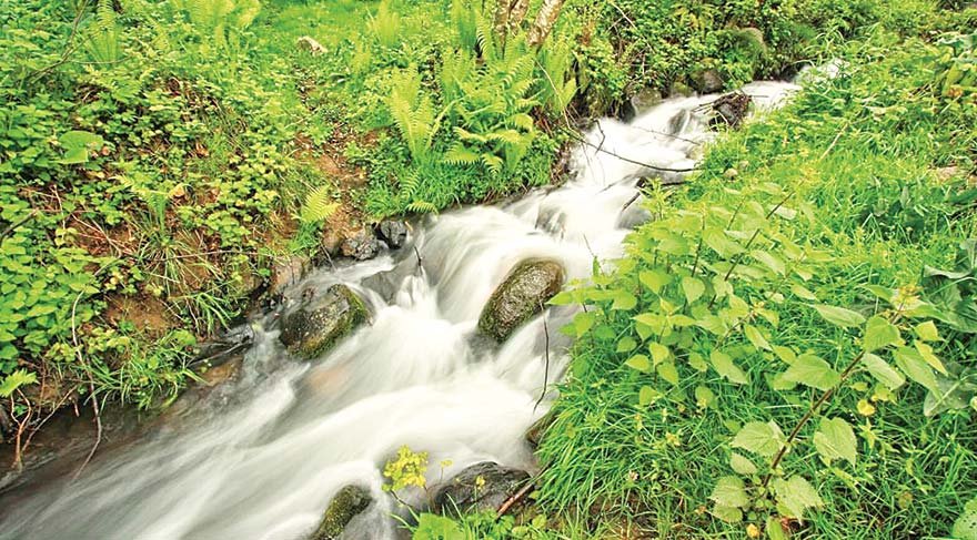 Artvin’in üstü ‘ALTINDAN’ değerlidir