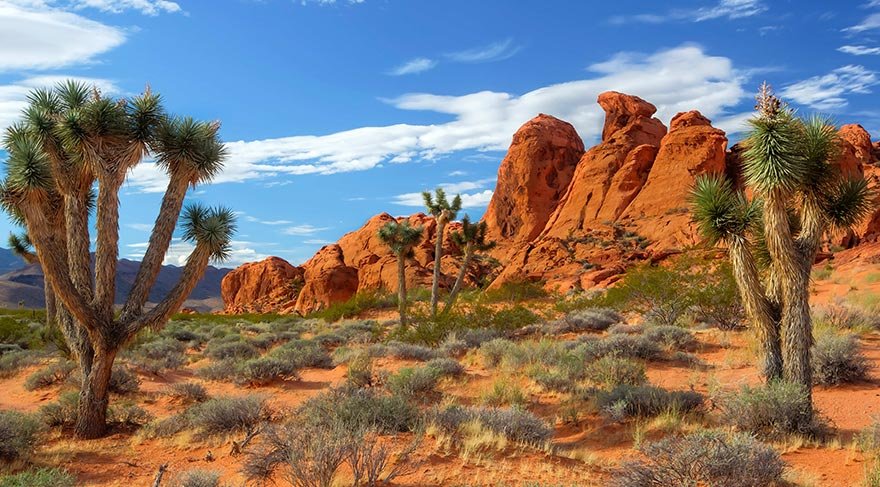 ABD’de tartışılan Milli Park: Gold Butte