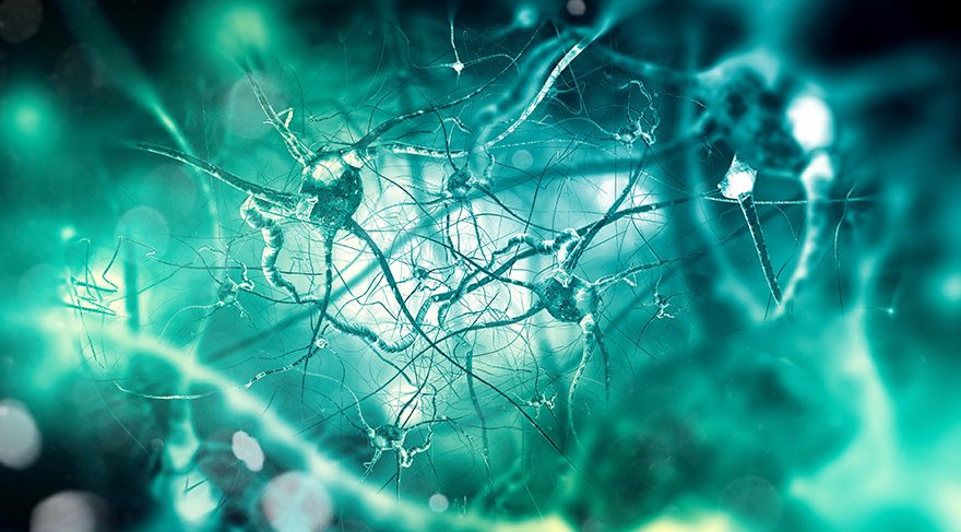 İşte Alzheimer’ı önleyen ve tetikleyen sebepler