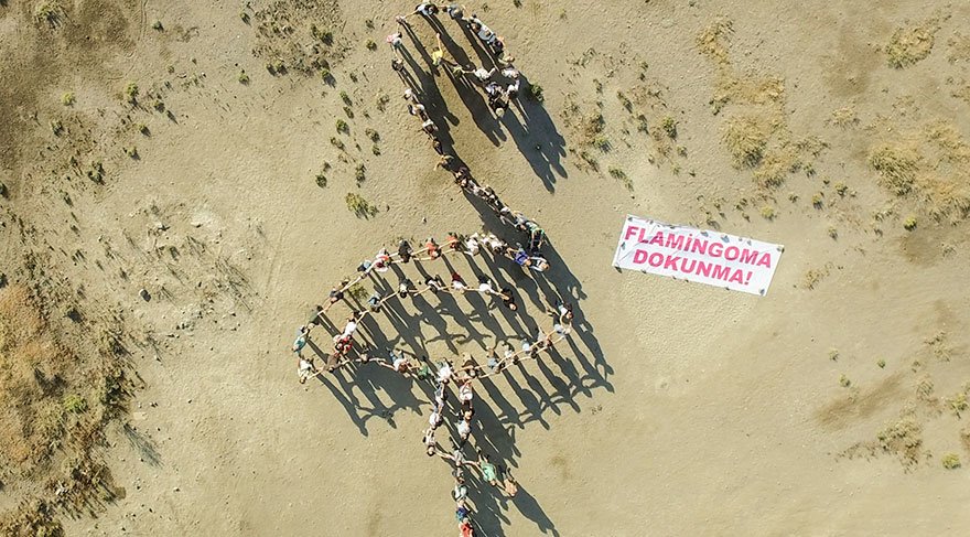 İzmir’de flamingo eylemi