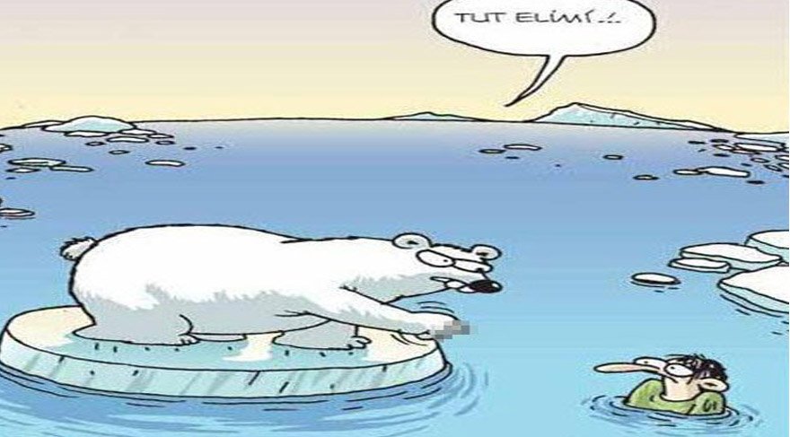 Kutup ayısı karikatürünün sahibi Selçuk Erdem sosyal medyadan seslendi