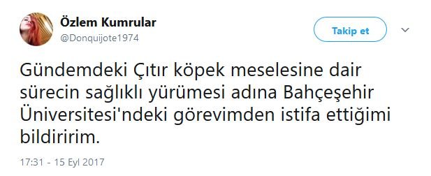 Citir Kopek Davasi Istifa Getirdi Guncel Yasam Haberleri