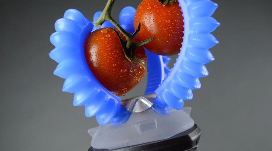 Yumuşak robotlar kullanım kolaylığı ile insanlara yardımcı olacak