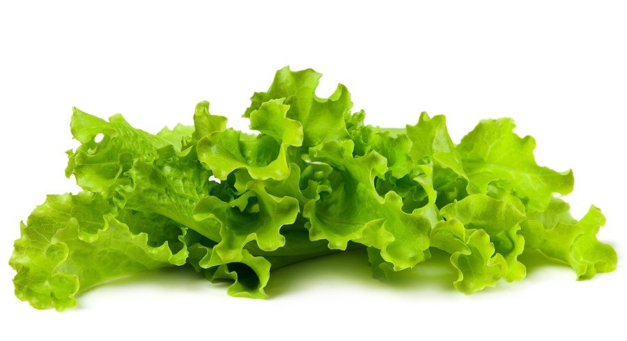 Erken yaşlanmayı önler.
