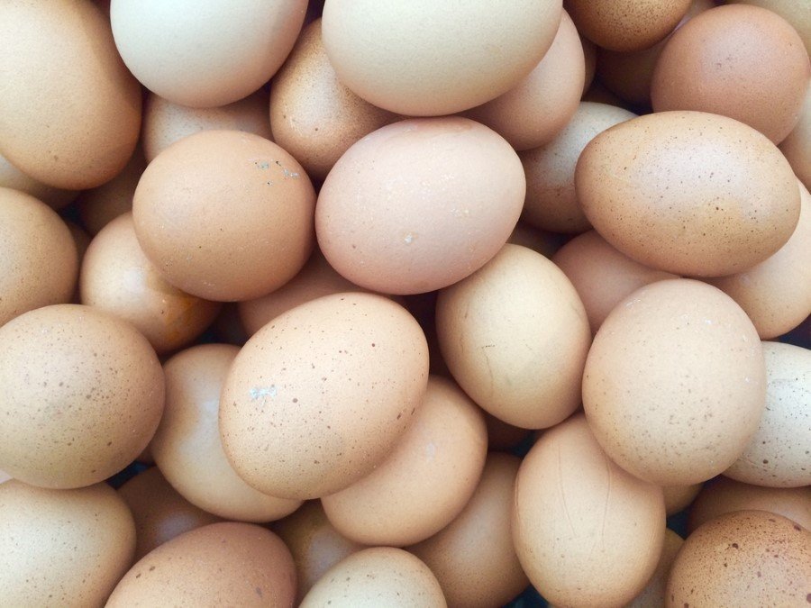 Organik olmayan yumurtalar: Organik olmayan yumurtalar fabrikasyon ortamda, antibiyotik, GDO'lu yemler ve hormonlarla çok kısa sürede büyütülen tavuklardan olan yumurtalardır. Tavukların hiçbir şekilde hareket edemediği, herhangi bir tahribat olmasın diye tırnakları ve hatta gagaları kesilen, hiç güneş görmeyen tavuklardır. Erkek civcivlerin doğar doğmaz çöpe atılır. Dişi civcivlerin hızla büyütülerek yumurtlamalarının sağlandığı, hızlı bir üretim-tüketim süreci başlar.