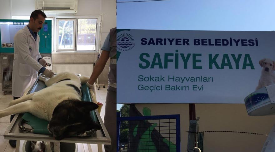 Sozcu Cin Iskencesi Basligiyla Duyurmustu O Merkezden Eser Kalmadi Son Dakika Haberleri